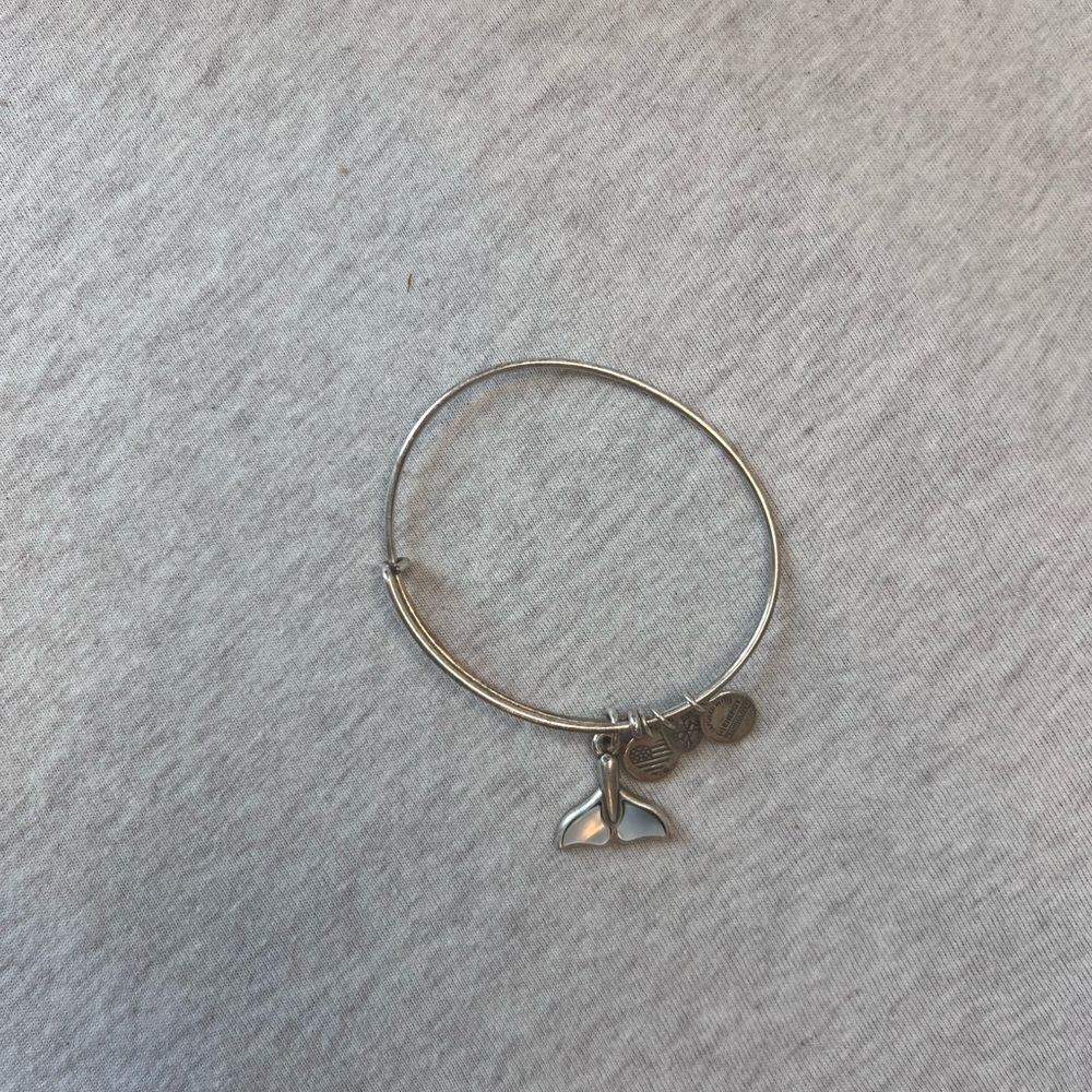 Alex and Ani Silver Charm Bracelet